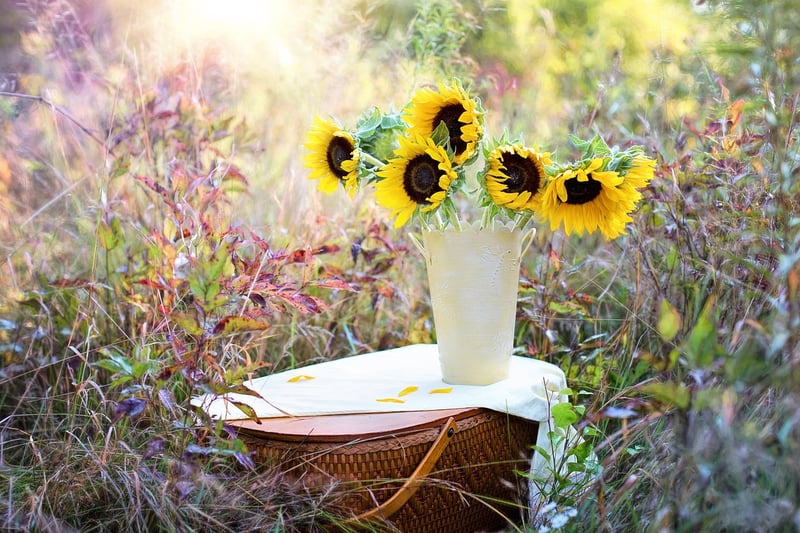 Flower in garden