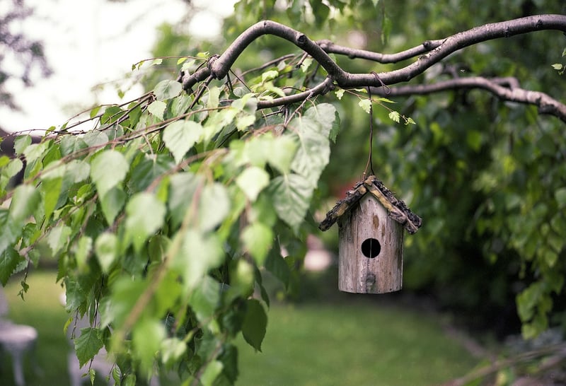 Hanging Garden