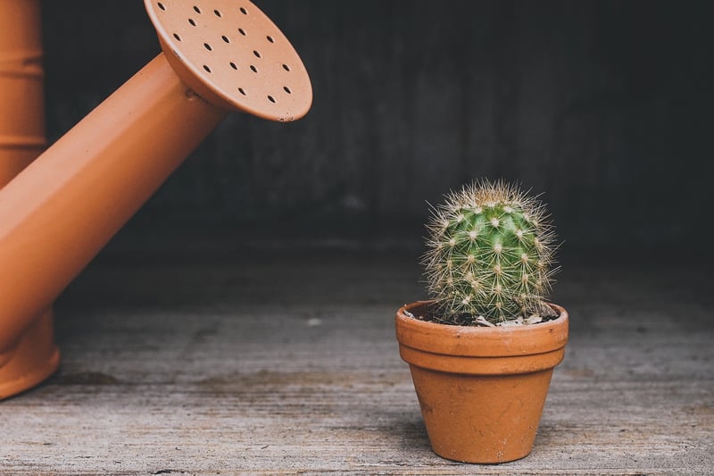 Plant Maintenance